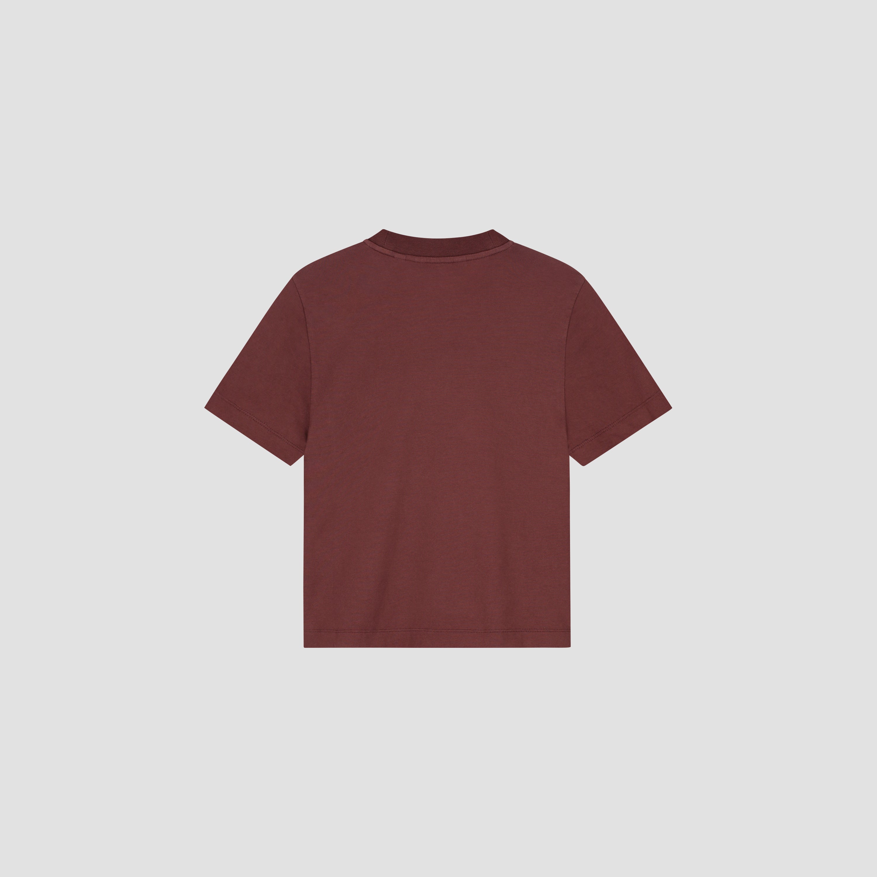 Pin Baby Tee - Rum Raisin
